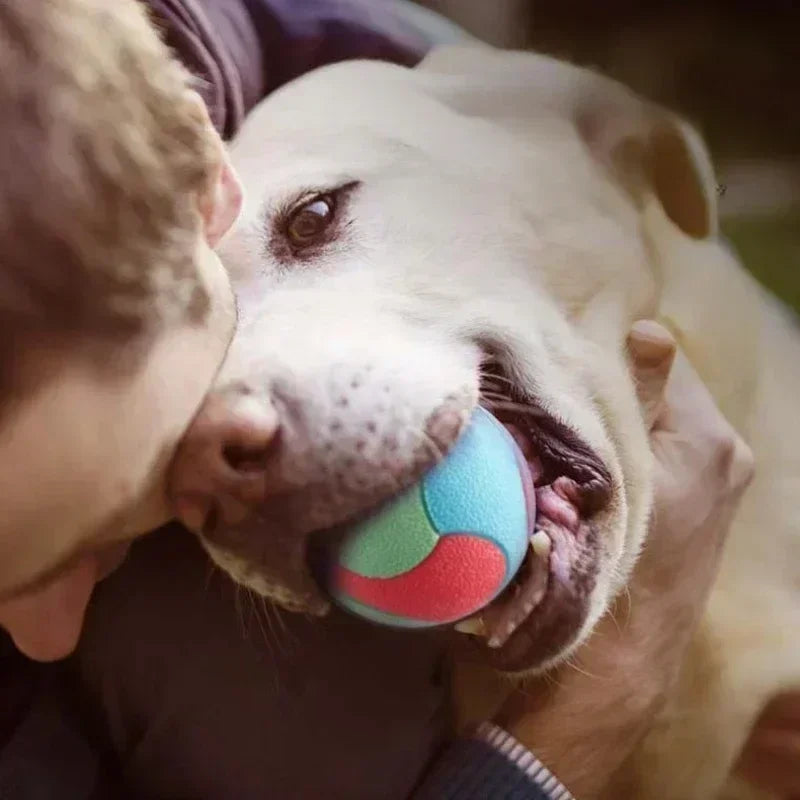 Solid Rubber Dog Fetch Play Ball