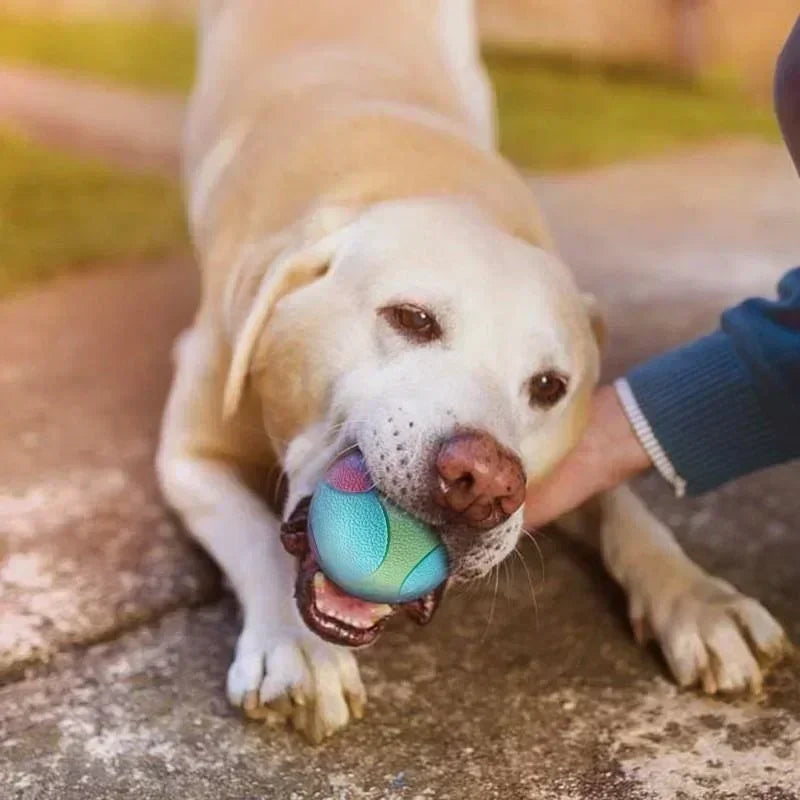 Solid Rubber Dog Fetch Play Ball